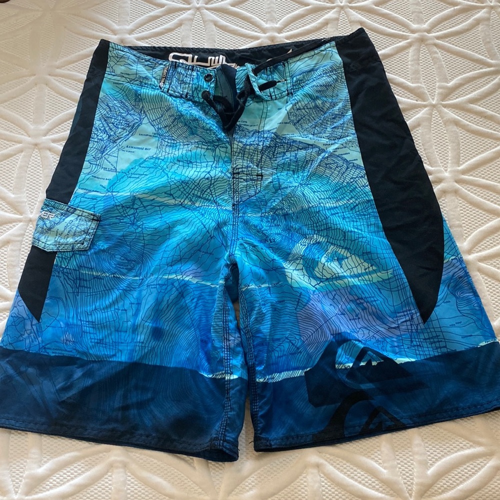 Quicksilver Swim Trunks